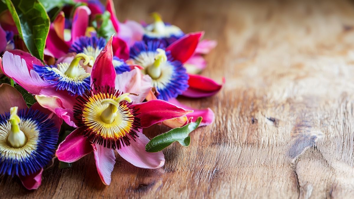 Passiebloem snoeien: hoe en wanneer voor een gezonde groei?