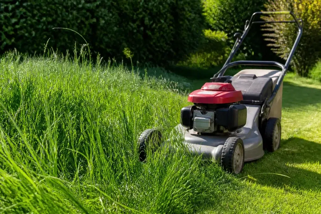 Grasmaaier op hoog ingesteld met lang gras zichtbaar