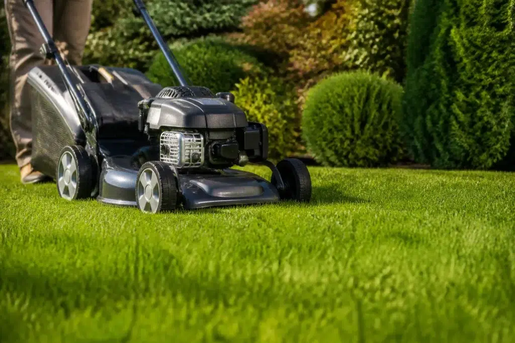 Grasmaaier op groen gazon met vijf centimeter hoogte