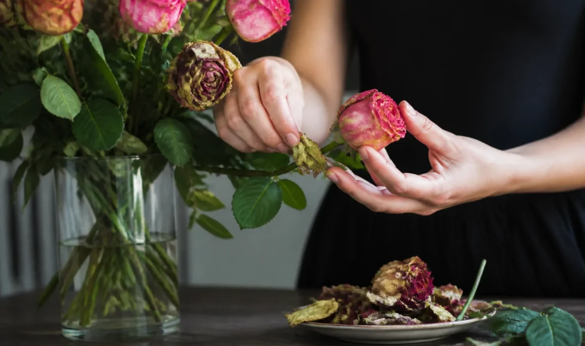 Verwelkte rozen in vaas worden voorzichtig gesorteerd en verwijderd